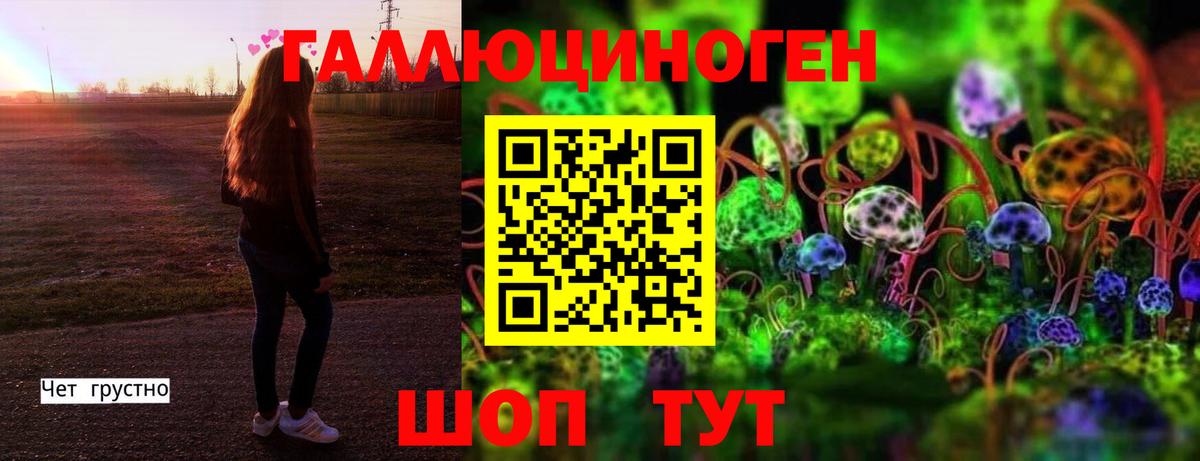 даркнет сайт  Вход с VPN  Новосибирск  Псилоцибиновые грибы Psilocybe 
